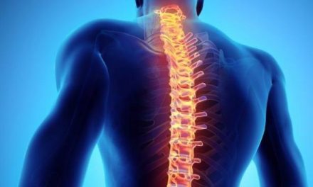 How To Prevent Spinal Cord Injuries