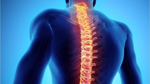 How To Prevent Spinal Cord Injuries